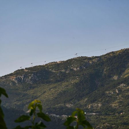 Apartament Raj Kotor Zewnętrze zdjęcie