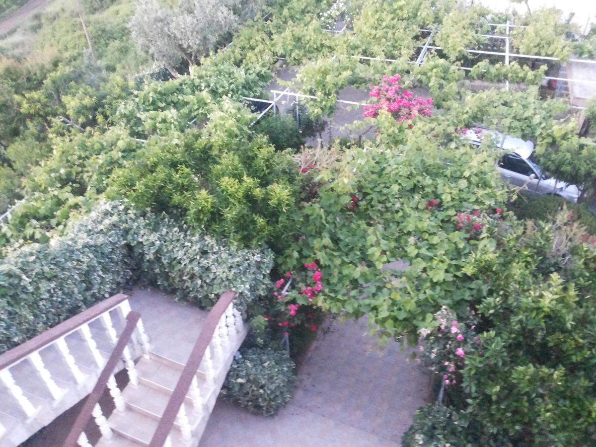 Apartament Raj Kotor Zewnętrze zdjęcie