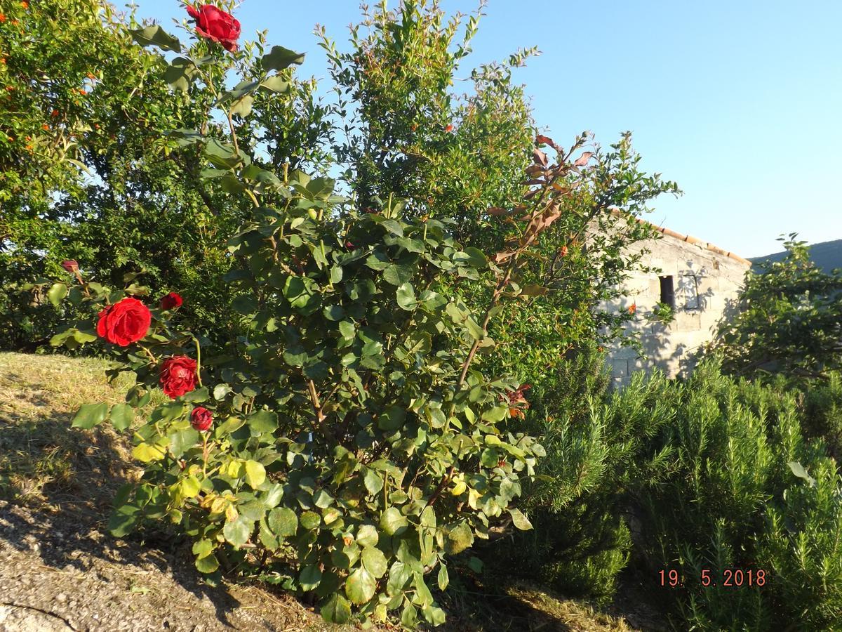 Apartament Raj Kotor Zewnętrze zdjęcie